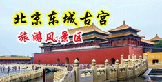 骚逼荡妇淫穴操烂中国北京-东城古宫旅游风景区