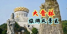 大鸡吧操熟女中国浙江-绍兴大香林旅游风景区